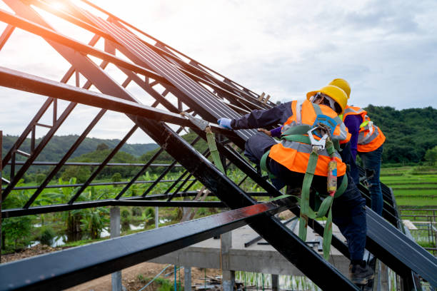 Best Roof Maintenance Services  in Mather, CA